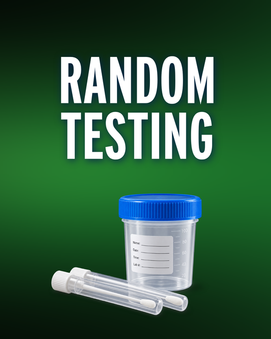 Random Testing
